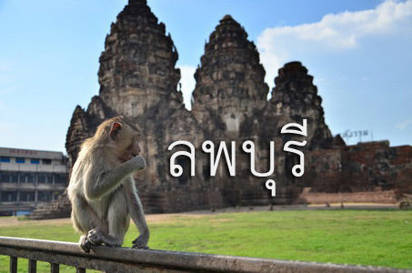 รับจัดโต๊ะจีน ลพบุรี