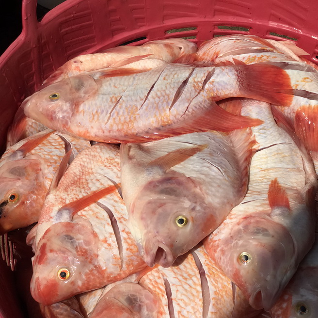 รูปอาหารโต๊ะจีน งานโต๊ะจีน